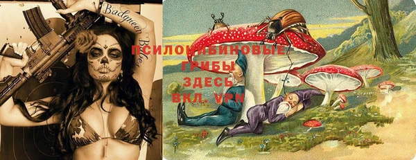 ECSTASY Богородицк