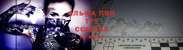ECSTASY Богородицк