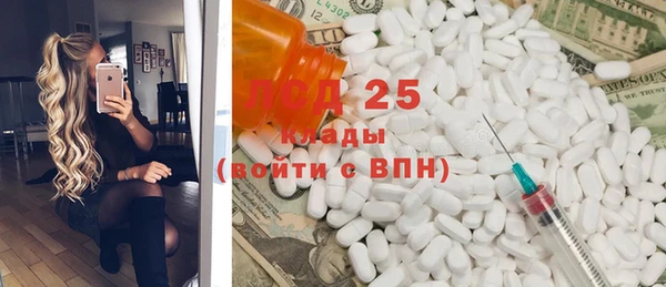 ПСИЛОЦИБИНОВЫЕ ГРИБЫ Бородино